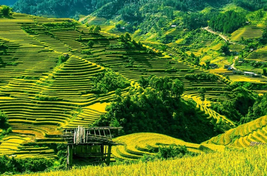 Day 2: Sapa town - Cat Cat Village -  Waterfall – Sin chai village (B/L/D)  