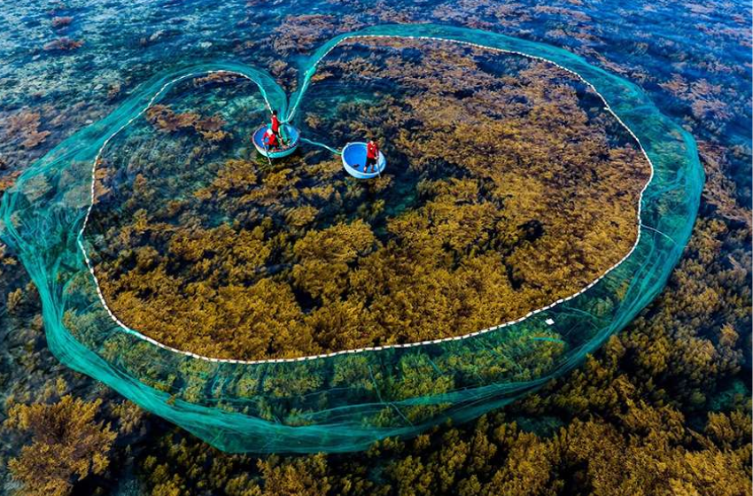 Day 5: Quy Nhon – Free Time (B)