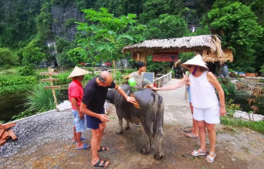 Ninh Binh Farm Trip to Rural Experiences